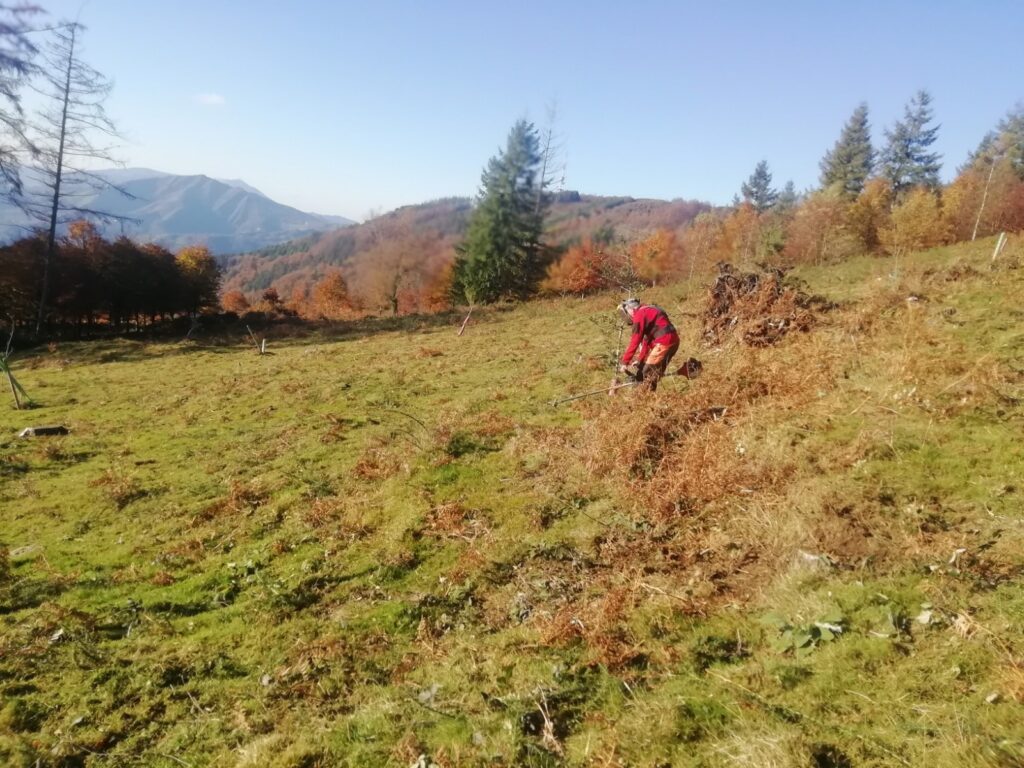 IRUKURUTZETA FUNDAZIOA