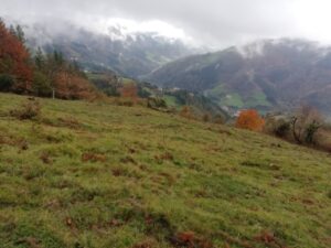 IRUKURUTZETA FUNDAZIOA