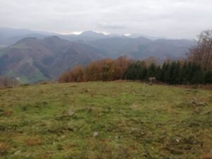 IRUKURUTZETA FUNDAZIOA