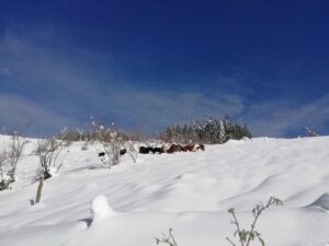 IRUKURUTZETA FUNDAZIOA