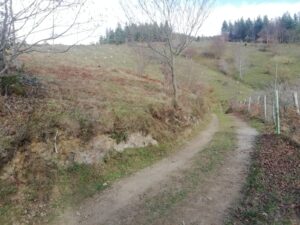 IRUKURUTZETA FUNDAZIOA