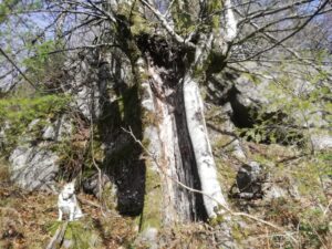 IRUKURUTZETA FUNDAZIOA