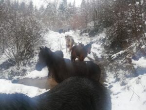 IRUKURUTZETA FUNDAZIOA