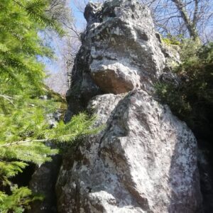 IRUKURUTZETA FUNDAZIOA