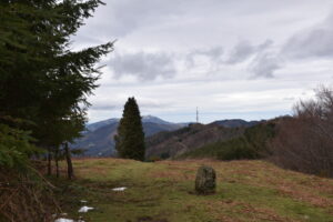 IRUKURUTZETA FUNDAZIOA