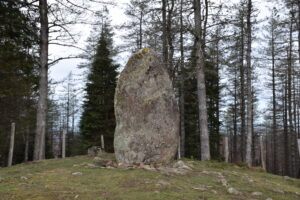 IRUKURUTZETA FUNDAZIOA