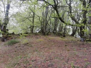 IRUKURUTZETA FUNDAZIOA